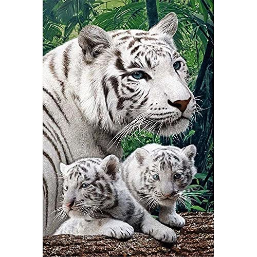 2000-teiliges Puzzle für Erwachsene – Spiele für Erwachsene, Jugendliche und Kinder – DREI Tiger, 2000-teiliges Puzzle für Erwachsene, 70 x 100 cm von LQKADBCXT