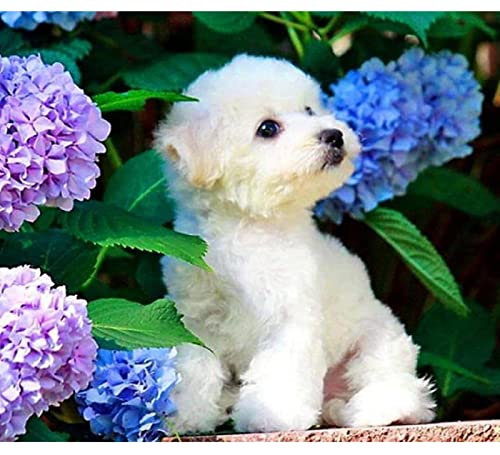 2000-teiliges Puzzle für Erwachsene mit Bichon Frisé und blühenden Kugelblumen, geeignet als Wandkunst, Heimdekoration, dekoratives Geschenk, 70 x 100 cm von LQKADBCXT