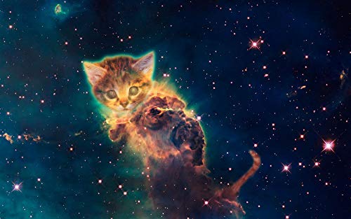 Baby-Muster Sternenhimmel und Katze Puzzle, Erwachsenen-Puzzle, Papier-Puzzle, 1000 Teile Puzzle für Erwachsene 50x70cm Baby-Muster Sternenhimmel und Katze Puzzle, Erwachsenen-Puzzle, Papier-Puzzle, 1000 Teile Puzzle für Erwachsene 50x70cm von LQKADBCXT