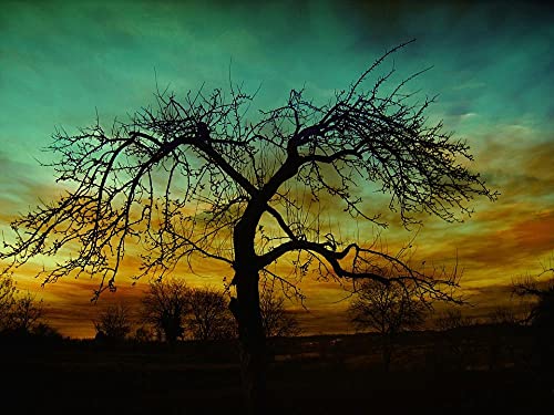 Großes Puzzle mit Baum- und Sonnenuntergangsmuster, Puzzle für Erwachsene, Papierpuzzle, 1000-teiliges Puzzle für Erwachsene, 26 x 38 cm von LQKADBCXT