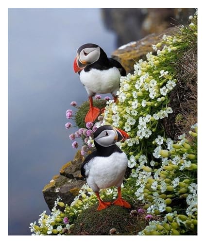 Klassisches 1000-teiliges Papageientaucher-Puzzle, Papageientauchervogel ... von LQKADBCXT