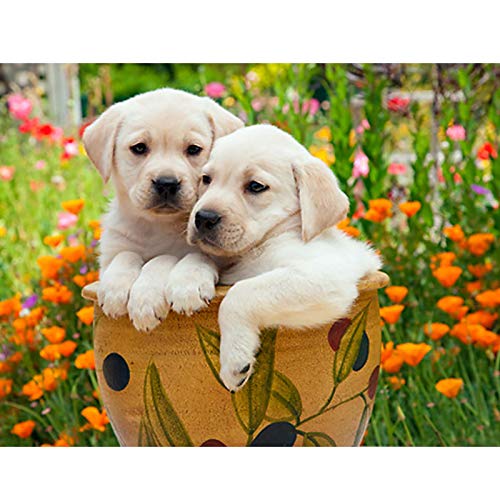 Klassisches 1000-teiliges Puzzle, Hund, Tier, Garten, Basteln, geeignet für die Wanddekoration zu Hause, 50 x 70 cm Klassisches 1000-teiliges Puzzle, Hund, Tier, Garten, Basteln, geeignet für die Wanddekoration zu Hause, 50 x 70 cm von LQKADBCXT