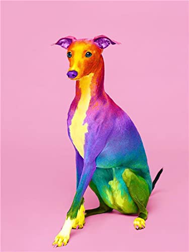 Klassisches 1000-teiliges Puzzle, großes Bild, bunter Italienischer Windhund, Basteln, Heimdekoration, Geschenk, 52 x 38 cm von LQKADBCXT