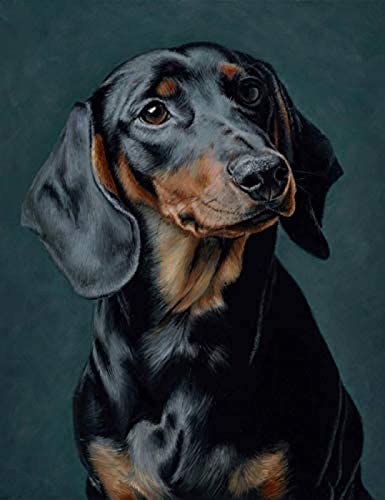 Klassisches 1000-teiliges Puzzle, schwarzer Dackel, Kunsthandwerk, Heimwanddekoration, 50 x 70 cm Klassisches 1000-teiliges Puzzle, schwarzer Dackel, Kunsthandwerk, Heimwanddekoration, 50 x 70 cm von LQKADBCXT