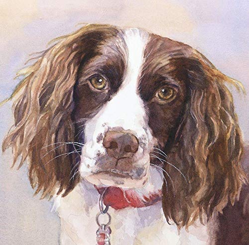 Klassisches 1000-teiliges Puzzle mit Springer-Spaniel-Gemäldekunst für die Wanddekoration zu Hause, 38 x 26 cm von LQKADBCXT