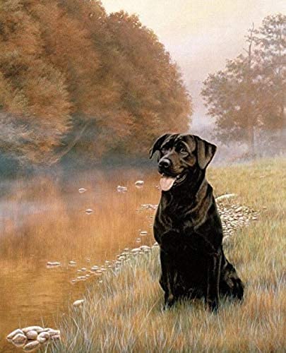 Klassisches 1000-teiliges Puzzle mit schwarzem Labrador, digitales Basteln, geeignet für die Wanddekoration zu Hause und als Geschenk, 50 x 70 cm Klassisches 1000-teiliges Puzzle mit schwarzem Labrador, digitales Basteln, geeignet für die Wanddekoration zu Hause und als Geschenk, 50 x 70 cm von LQKADBCXT