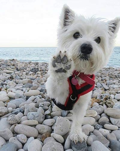 Klassisches 2000-teiliges Puzzle mit Landschaften und Figuren, 70 x 100 cm von LQKADBCXT
