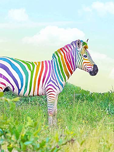 Klassisches 2000-teiliges Zebra-Puzzle, Basteln, geeignet für die Wanddekoration im Homeoffice, 70 x 100 cm Klassisches 2000-teiliges Zebra-Puzzle, Basteln, geeignet für die Wanddekoration im Homeoffice, 70 x 100 cm von LQKADBCXT