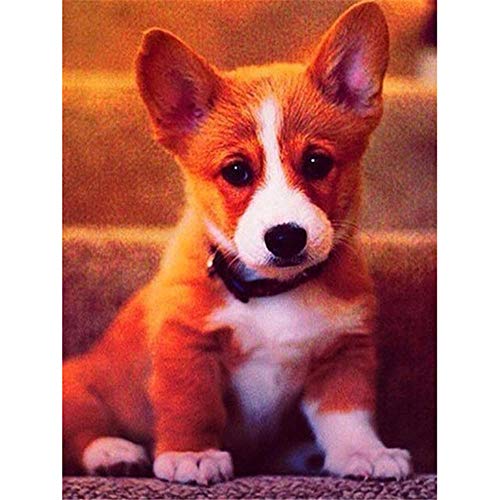 Puzzle 1000 Teile für Erwachsene, gelber Welpe, Kinderpuzzle, Puzzle 50 x 70 cm von LQKADBCXT