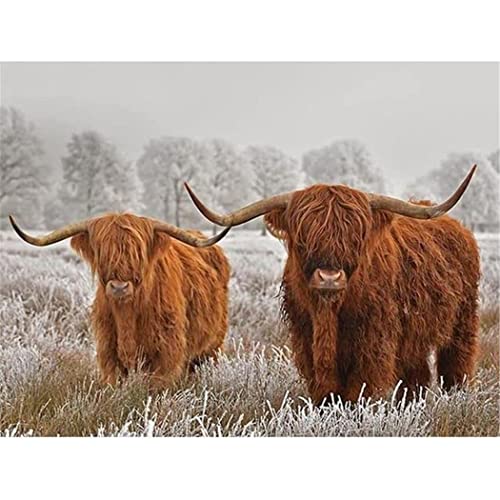 Puzzle für Erwachsene, 1000 Teile, Highland Cow Calf, Kunst, Dekoration, Geschenk, 50 x 70 cm Puzzle für Erwachsene, 1000 Teile, Highland Cow Calf, Kunst, Dekoration, Geschenk, 50 x 70 cm von LQKADBCXT