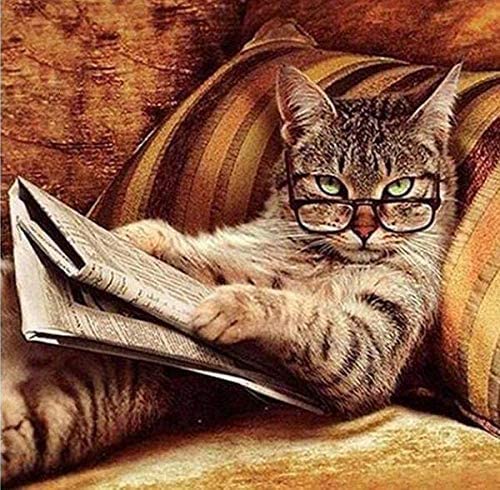 Puzzle für Erwachsene, 1000 Teile, Katze liest Zeitung, Gemälde, Heimdekoration, Wandgemälde, 50 x 70 cm Puzzle für Erwachsene, 1000 Teile, Katze liest Zeitung, Gemälde, Heimdekoration, Wandgemälde, 50 x 70 cm von LQKADBCXT