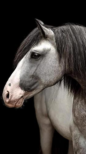 Puzzle für Erwachsene, 1000 Teile, Marmortier, Wandkunst, Poster, Lernspielzeug, intellektuelles Spiel, Geschenk, 50 x 70 cm von LQKADBCXT