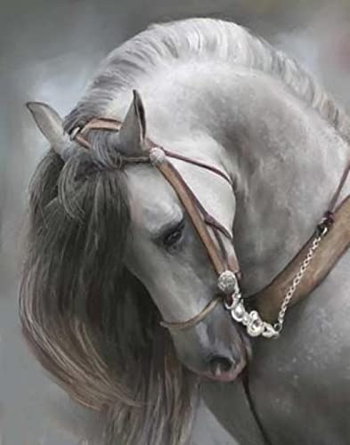 Puzzle für Erwachsene, 1000 Teile, Pferd, Tier, Pferd, Heimdekoration, Lernspielzeug, intellektuelles Spiel, Geschenk, 38 x 52 cm Puzzle für Erwachsene, 1000 Teile, Pferd, Tier, Pferd, Heimdekoration, Lernspielzeug, intellektuelles Spiel, Geschenk, 38 x 52 cm von LQKADBCXT