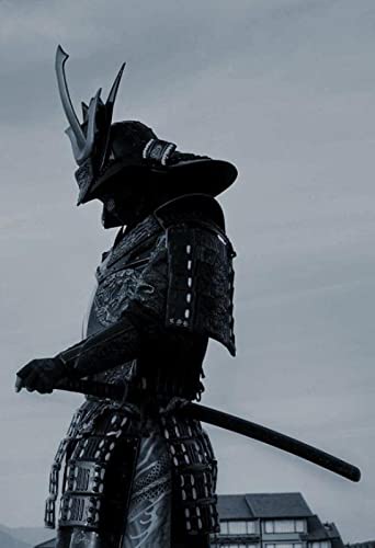 Puzzle für Erwachsene, 1000 Teile, Samurai-Krieger, Heimdekoration, Lernspielzeug, Intelligenzspiel, Geschenk, 50 x 70 cm Puzzle für Erwachsene, 1000 Teile, Samurai-Krieger, Heimdekoration, Lernspielzeug, Intelligenzspiel, Geschenk, 50 x 70 cm von LQKADBCXT