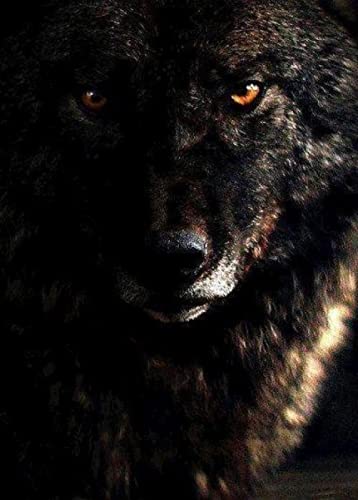 Puzzle für Erwachsene, 1000 Teile, Schneewolf-Set, Kunst, Wanddekoration, Lernspielzeug, intellektuelles Spiel, Geschenk, 50 x 70 cm von LQKADBCXT