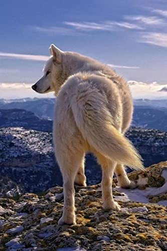 Puzzle für Erwachsene, 1000 Teile, Schneewolf-Set, Kunst, Wanddekoration, Lernspielzeug, intellektuelles Spiel, Geschenk, 50 x 70 cm Puzzle für Erwachsene, 1000 Teile, Schneewolf-Set, Kunst, Wanddekoration, Lernspielzeug, intellektuelles Spiel, Geschenk, 50 x 70 cm von LQKADBCXT