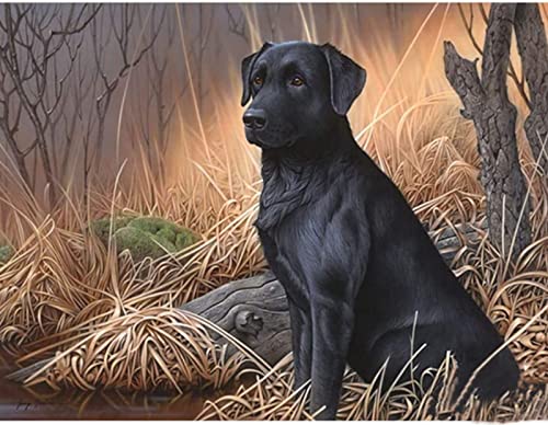 Puzzle für Erwachsene, 1000 Teile, Schwarzer Labrador im Heuhaufen, für Wandkunst, Zuhause, dekoratives Geschenk, 50 x 70 cm Puzzle für Erwachsene, 1000 Teile, Schwarzer Labrador im Heuhaufen, für Wandkunst, Zuhause, dekoratives Geschenk, 50 x 70 cm von LQKADBCXT
