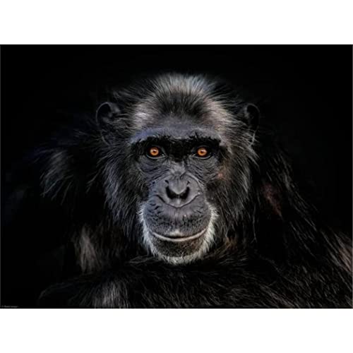 Puzzle für Erwachsene, 1000 Teile, schwarzer AFFE, Gorilla, Malerei, Kunst, Dekoration, Geschenk, 50 x 70 cm Puzzle für Erwachsene, 1000 Teile, schwarzer AFFE, Gorilla, Malerei, Kunst, Dekoration, Geschenk, 50 x 70 cm von LQKADBCXT