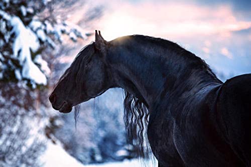 Puzzle für Erwachsene, 2000 Teile, Pferd, Künstler, Heimdekoration, Lernspielzeug, intellektuelles Spiel, Geschenk, 70 x 100 cm von LQKADBCXT