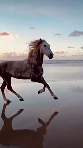 Puzzle für Erwachsene, 2000 Teile, Pferd, Tier, Wanddekoration, Lernspielzeug, Intelligenzspiel, Geschenk, 70 x 100 cm Puzzle für Erwachsene, 2000 Teile, Pferd, Tier, Wanddekoration, Lernspielzeug, Intelligenzspiel, Geschenk, 70 x 100 cm von LQKADBCXT