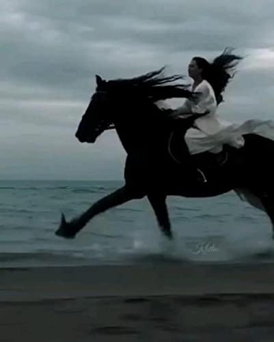 Puzzle für Erwachsene, 2000 Teile, Pferde-Set, Kunst, Wanddekoration, Lernspielzeug, intellektuelles Spiel, Geschenk, 70 x 100 cm von LQKADBCXT