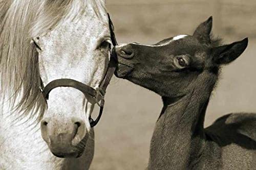 Puzzle für Erwachsene, 2000 Teile, Tierpferd, Heimdekoration, Lernspielzeug, intellektuelles Spiel, Geschenk, 70 x 100 cm von LQKADBCXT