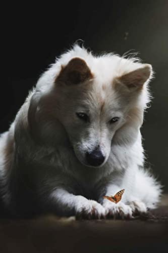 Puzzle für Erwachsene, 2000 Teile, Tierwolf, Dekoration, Heim, Lernspielzeug, intellektuelles Spiel, Geschenk, 70 x 100 cm von LQKADBCXT