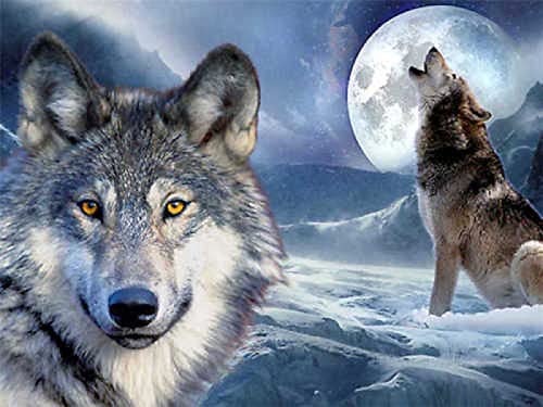 Puzzle für Erwachsene, 2000 Teile, Wolf, Tier, Künstler, Heimdekoration, Lernspielzeug, intellektuelles Spiel, Geschenk, 70 x 100 cm von LQKADBCXT