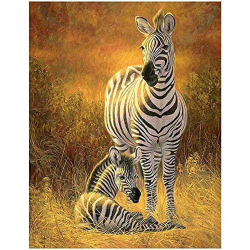 Puzzle für Erwachsene, 2000 Teile, Zebra-Aufkleber, Kunst, Zebra, süßes Tiermuster, 70 x 100 cm von LQKADBCXT