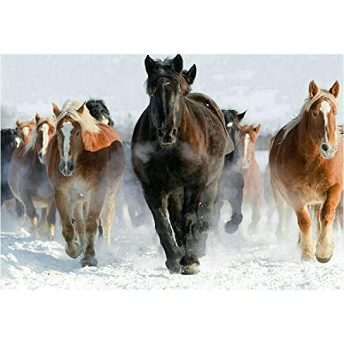 Puzzle für Erwachsene 1000 Teile Pferd Künstler Heimdekoration Lernspielzeug Intellektuelles Spiel Geschenk 26x38cm von LQKADBCXT