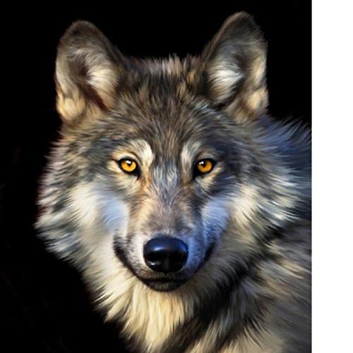 Puzzle für Erwachsene 1000 Teile Sternenwolf Schneewolf Wohnzimmer Haus Wanddekoration Lernspielzeug Intellektuelles Spiel Geschenk 26x38cm von LQKADBCXT