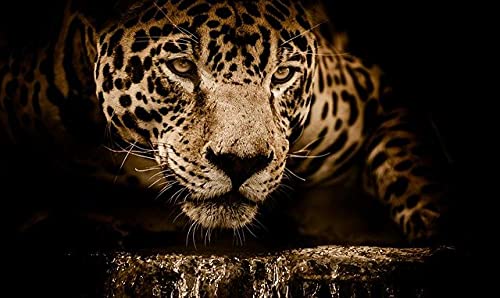 Puzzle mit Wildtieren im Leopardenmuster, Puzzle für Erwachsene, Papierpuzzle, 1000-teiliges Puzzle für Erwachsene, 50 x 70 cm Puzzle mit Wildtieren im Leopardenmuster, Puzzle für Erwachsene, Papierpuzzle, 1000-teiliges Puzzle für Erwachsene, 50 x 70 cm von LQKADBCXT