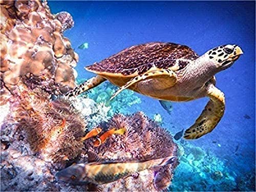 Schildkröten-Puzzle für Erwachsene, 2000 Teile, geeignet als Wandkunst, Heimdekoration, Geschenk, 70 x 100 cm von LQKADBCXT