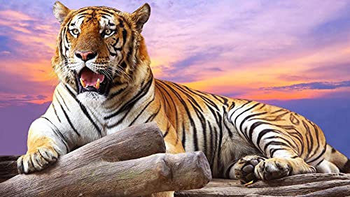 Tiger- und Bunte Wolkenmuster-Puzzle, Erwachsenenpuzzle, Papierpuzzle, 1000-teiliges Puzzle für Erwachsene, 26 x 38 cm Tiger- und Bunte Wolkenmuster-Puzzle, Erwachsenenpuzzle, Papierpuzzle, 1000-teiliges Puzzle für Erwachsene, 26 x 38 cm von LQKADBCXT