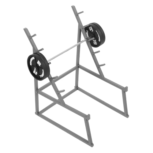 LRXIYODE 1 Satz Fitness-Ornamente Mini Puppenhaus-sportmodelle Puppen-langhantel Puppenhausdekor Lebensechte Langhantelspielzeuge Langhantel Requisiten Kleines Langhantelspielzeug Eisen LRXIYODE 1 Satz Fitness-Ornamente Mini Puppenhaus-sportmodelle Puppen-langhantel Puppenhausdekor Lebensechte Langhantelspielzeuge Langhantel Requisiten Kleines Langhantelspielzeug Eisen von LRXIYODE