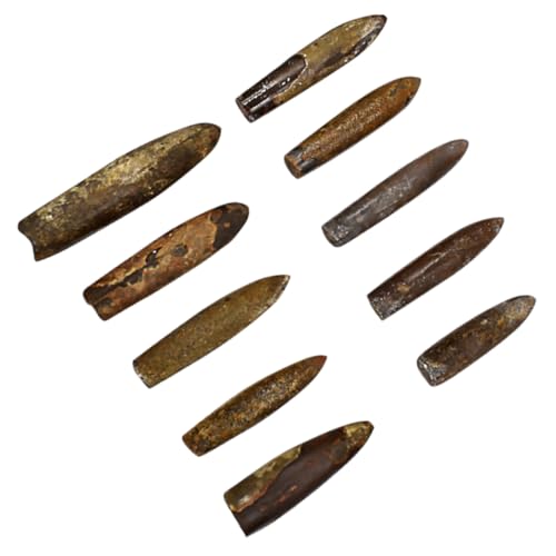 LRXIYODE 10 Stück Teiliges Fossilien als Desktop Ornament und Pädagogisches Lehrmittel für Schulanfänger Dekorativ und Lehrreich Geeignet als und Sammlerstück für Mineralienliebhaber LRXIYODE 10 Stück Teiliges Fossilien als Desktop Ornament und Pädagogisches Lehrmittel für Schulanfänger Dekorativ und Lehrreich Geeignet als und Sammlerstück für Mineralienliebhaber von LRXIYODE