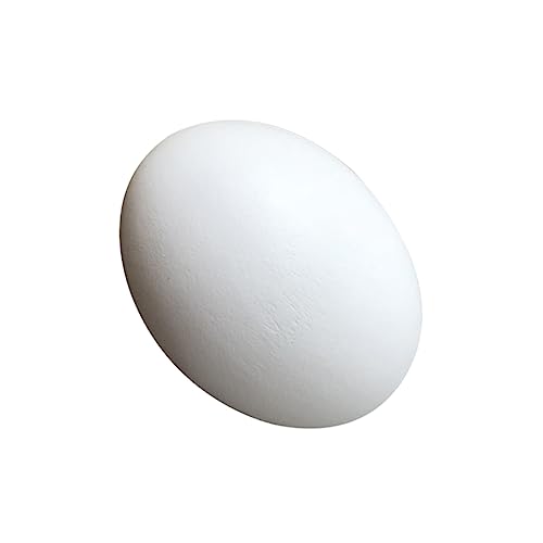 LRXIYODE 10Stücke Ostern Holz DIY Eier zum Bemalen Realistische Sichere und Langlebige Ostereier für Kreative Bastelprojekte für Ostergeschenke Deko LRXIYODE 10Stücke Ostern Holz DIY Eier zum Bemalen Realistische Sichere und Langlebige Ostereier für Kreative Bastelprojekte für Ostergeschenke Deko von LRXIYODE