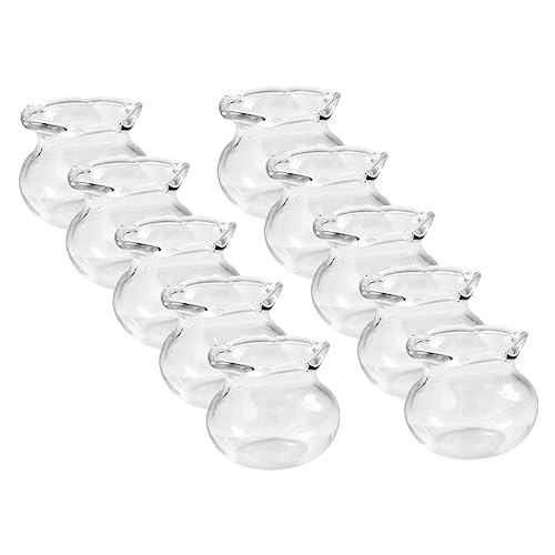LRXIYODE 10Stücke Teiliges Mini Fischtankmodell Aus Dekorative Ornamente Für Kreative DIY Projekte Und Miniaturgärten Transparentes Design Für Einzigartige Raumgestaltung von LRXIYODE