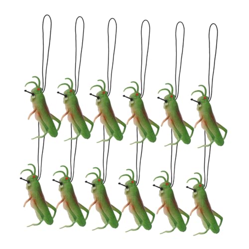 LRXIYODE 12 Stück Teiliges Realistische Insektenfiguren Lernspielzeug für Dekoration und Partygeschenke für Insekten Themen Fördert Kreativität und LRXIYODE 12 Stück Teiliges Realistische Insektenfiguren Lernspielzeug für Dekoration und Partygeschenke für Insekten Themen Fördert Kreativität und von LRXIYODE