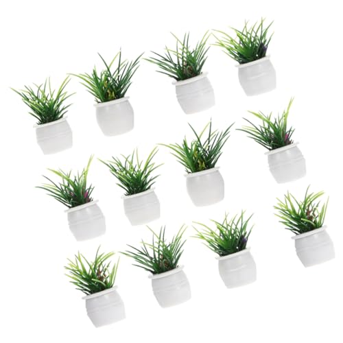 LRXIYODE 12 Stück kleine Topfpflanzenornamente Puppe Eukalyptus Fälschung Anlage mikrolandschaft Dekorative Miniaturpflanzen Miniatur-Bonsai-Modell Miniatur -Topfpflanze Harz LRXIYODE 12 Stück kleine Topfpflanzenornamente Puppe Eukalyptus Fälschung Anlage mikrolandschaft Dekorative Miniaturpflanzen Miniatur-Bonsai-Modell Miniatur -Topfpflanze Harz von LRXIYODE