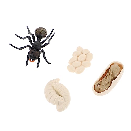 LRXIYODE Plastik Ameisen Lebenszyklus Modell Satz für Kinder Kognitive Ant Figuren Lehrspielzeug für Wissenschaft Handgefertigte Ameisenmodelle Leichtes und Sicheres Material LRXIYODE Plastik Ameisen Lebenszyklus Modell Satz für Kinder Kognitive Ant Figuren Lehrspielzeug für Wissenschaft Handgefertigte Ameisenmodelle Leichtes und Sicheres Material von LRXIYODE