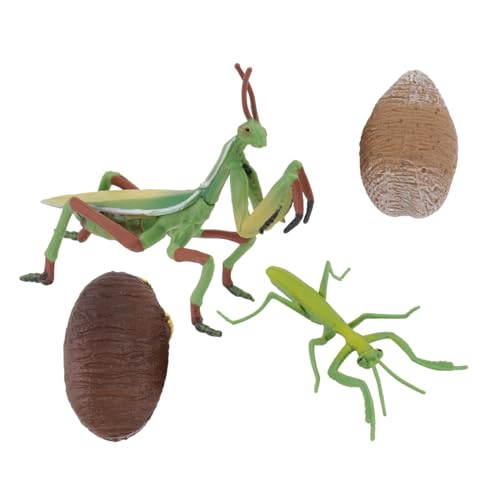 LRXIYODE 1Satz Mantisspielzeug Realistische Insekten Modelle für Pädagogisches Lernspielzeug Farberkennung und Hand Augen Koordination Kleine Hände LRXIYODE 1Satz Mantisspielzeug Realistische Insekten Modelle für Pädagogisches Lernspielzeug Farberkennung und Hand Augen Koordination Kleine Hände von LRXIYODE