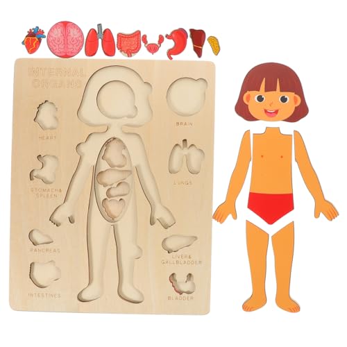 LRXIYODE 1satz Holzpuzzle Für Junge Mädchen Lernspielzeug Zur Anatomie des Menschlichen Körpers Pädagogisches Puzzle Frühen Bildung Mit Abnehmbaren Organen Für Mädchen von LRXIYODE
