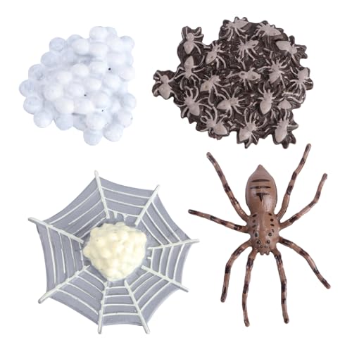 LRXIYODE 1satz Simulationstier-evolutionsmodellen Pädagogisches Spielzeug Für Junge Mädchen Dekoration Für Partys Und Lernspiele Spider Und Insekten-lebenszyklen LRXIYODE 1satz Simulationstier-evolutionsmodellen Pädagogisches Spielzeug Für Junge Mädchen Dekoration Für Partys Und Lernspiele Spider Und Insekten-lebenszyklen von LRXIYODE