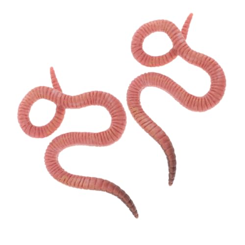 LRXIYODE 2 Stück Insektenmodell Anlage Kette Figur Specht Erde Critter Tiere Outdoor realistische Regenwurmmodelle Tiermodell aus Kunststoff Plastik Rosa von LRXIYODE