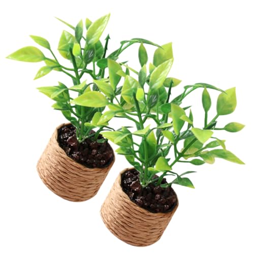 LRXIYODE 2 Stück Mini-orangenbaum Winzige Miniatur-topfpflanzen Wohnkultur Küchentisch Mittelstücke Miniaturhaus Kit Winzige Dinge Miniatur-Dekorationen 1: 12 Hauszubehör Plastik LRXIYODE 2 Stück Mini-orangenbaum Winzige Miniatur-topfpflanzen Wohnkultur Küchentisch Mittelstücke Miniaturhaus Kit Winzige Dinge Miniatur-Dekorationen 1: 12 Hauszubehör Plastik von LRXIYODE