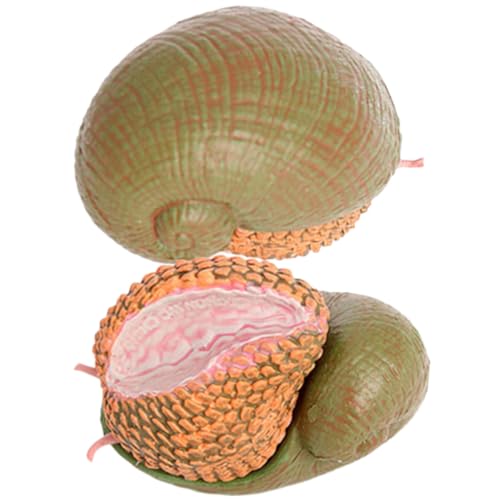 LRXIYODE 2 Stück Realistisches Schneckenfiguren aus Kunststoff Kleine Schneckendekorationen und Pädagogische Tiermodelle Realistische Schnecken Spielzeugfiguren für Lernen von LRXIYODE