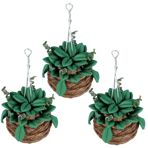 LRXIYODE 3 Stück Miniatur Bonsai Deko Mini Pflanzen ohne Gießen Miniaturmöbel Dekoration für Puppenhaus Gartenhaus und Kleine Wohnräume Langlebige Geruchlose Kunstpflanzen Vielseitig LRXIYODE 3 Stück Miniatur Bonsai Deko Mini Pflanzen ohne Gießen Miniaturmöbel Dekoration für Puppenhaus Gartenhaus und Kleine Wohnräume Langlebige Geruchlose Kunstpflanzen Vielseitig von LRXIYODE