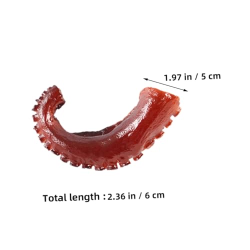 LRXIYODE 4 Stück Teiliges Realistische tentakel Modelle aus Lebensechte Meeresfrüchte Nachbildung in Natürlicher Farbecht und Leicht als Foto Requisiten Dekoration und Lernspielzeug LRXIYODE 4 Stück Teiliges Realistische tentakel Modelle aus Lebensechte Meeresfrüchte Nachbildung in Natürlicher Farbecht und Leicht als Foto Requisiten Dekoration und Lernspielzeug von LRXIYODE