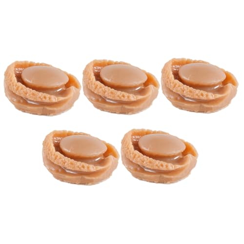 LRXIYODE 5 Stück Miniatur Abalone Essensmodell Teilig Realistisch Detailreich Puppenhaus Dekoration Miniatur Lebensmittel für DIY Mini Haus Kreative Gestaltung von LRXIYODE